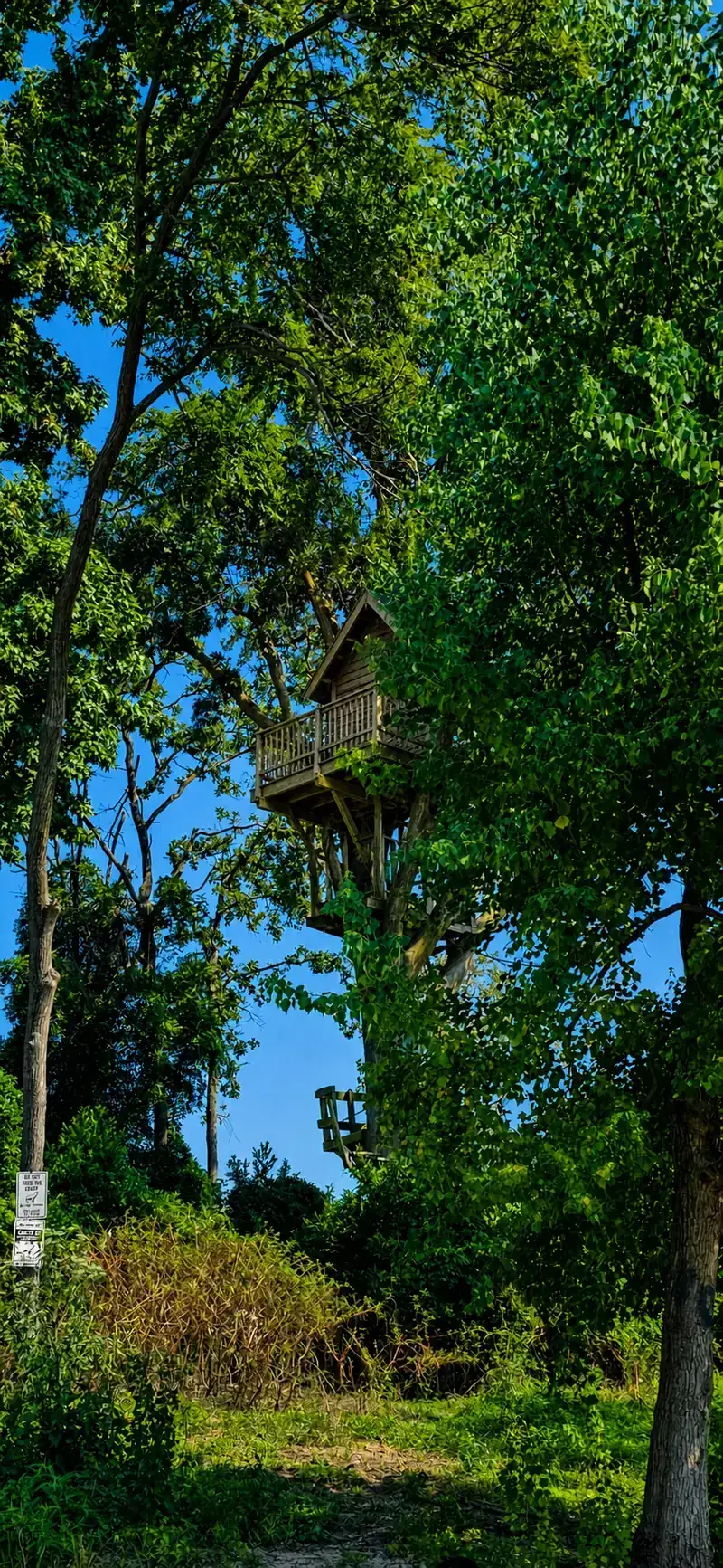 Treehouse Island on Lake Palestine East Texas visible through lush summer trees