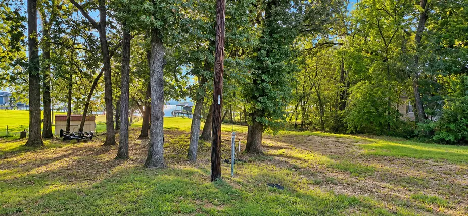Mature trees shading the street end of the waterfront lot at 22693 Creekwood Dr in Lakeway Harbor, Flint TX.