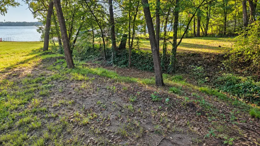 Wooded drainage along one side of the lot at 22693 Creekwood Dr, with Lake Palestine visible beyond the trees.