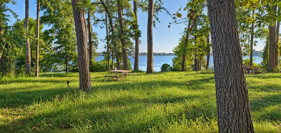 A picnic table under tall pines at the Lakeway Harbor neighborhood park on Lake Palestine in Flint TX.